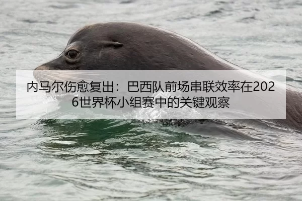 内马尔伤愈复出：巴西队前场串联效率在2026世界杯小组赛中的关键观察