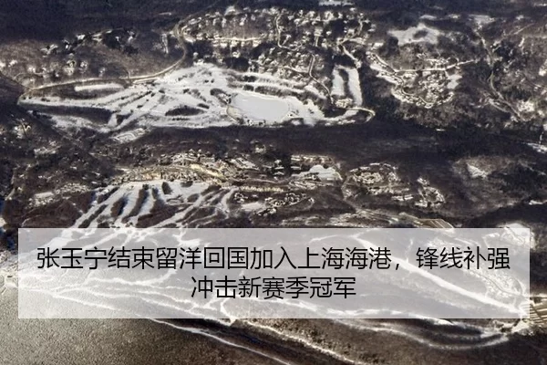 张玉宁结束留洋回国加入上海海港，锋线补强冲击新赛季冠军